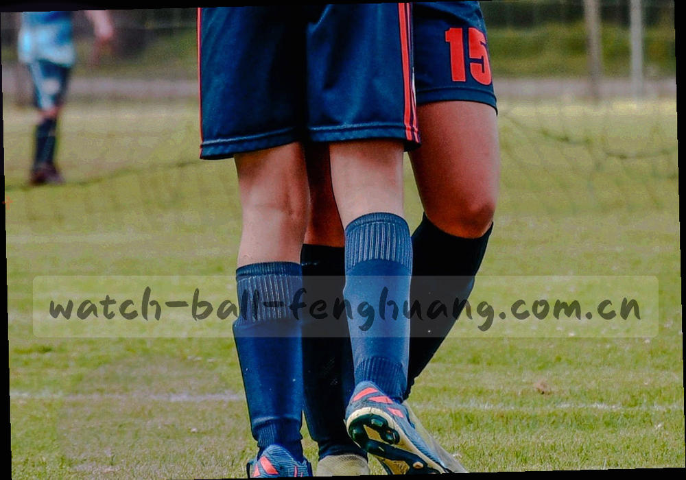 两列数据网格相互比对校验的抽象示意图